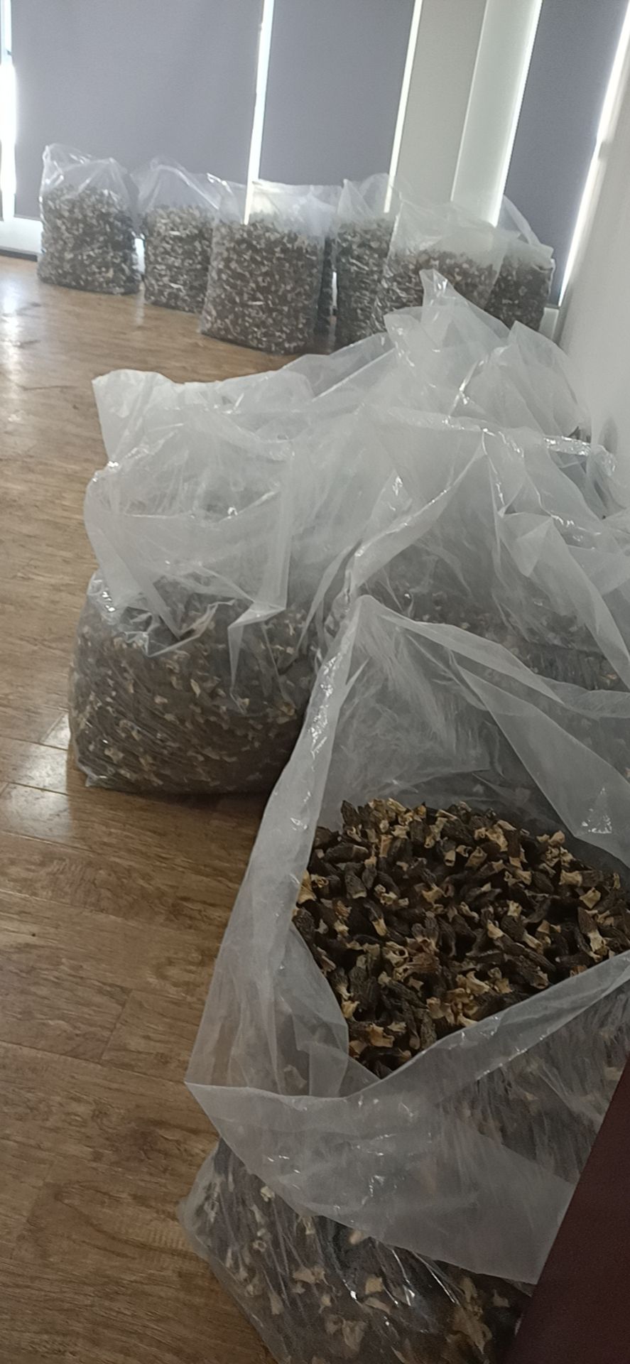 刚上 4~7公分干货羊肚菌性价比超高