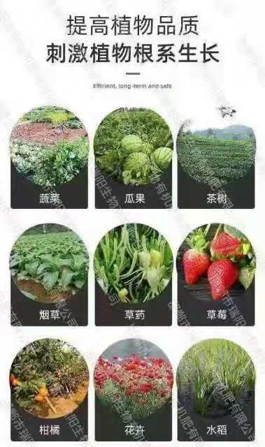 叶面肥  糖醇镁