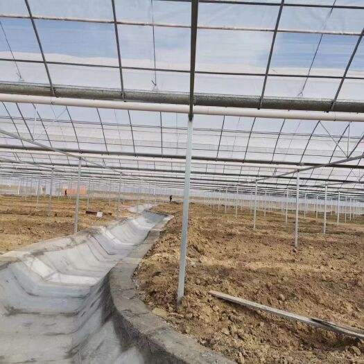 天津大棚  连栋温室，厂家直销，质量有保证