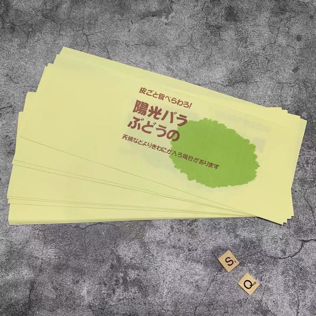 纸袋  葡萄包装袋 纸包装袋 无防布包装袋 哈密瓜包装袋