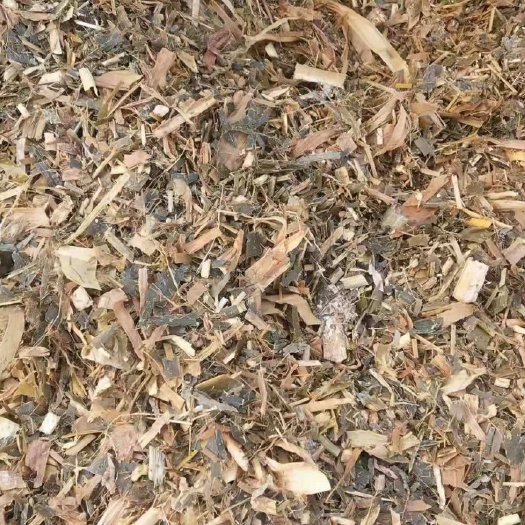 商河县玉米青贮  散装玉米秸秆青储