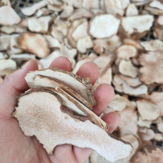 孟连县土茯苓干片