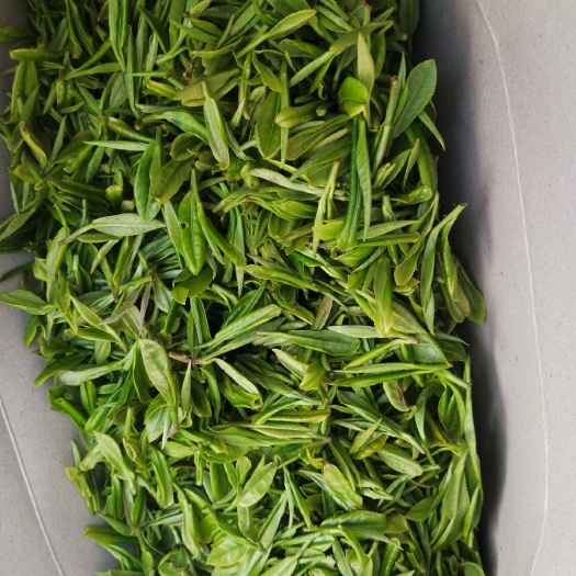 南漳县云雾茶 高山生态云雾绿茶，不打农药天然好茶，限量预订