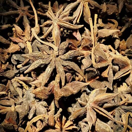 百色大红八角 广西壮族自治区百色市右江区 