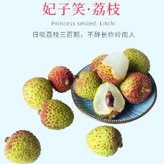 灵山县 妃子笑荔枝苗