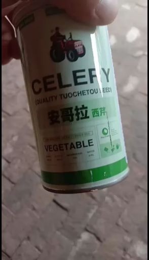 商河县芹菜种子 原种 ≥93% ≥95% ≥75% ≤5% 盒装 