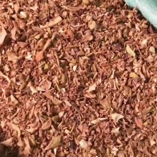 临清市 烘干苹果渣