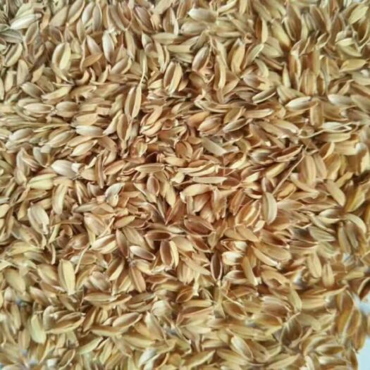 大量出售：压缩稻壳，散装稻壳，鸡鸭鹅垫料