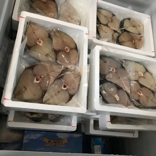 海口马鲛鱼干 海鲜干货
