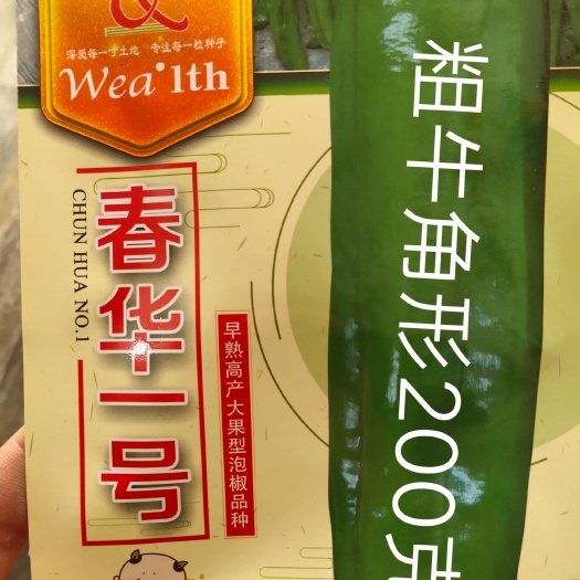 扶沟县泡椒种子 春华一号辣椒种子~早熟大果抗病亩栽3000株大棚拱