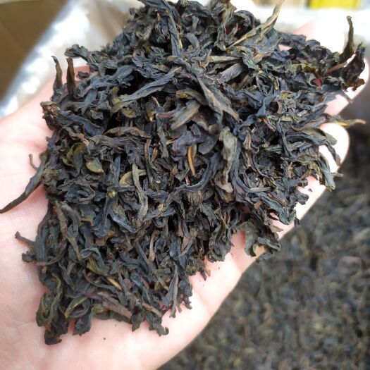 惠来县单丛茶 高山茶叶奇兰香熟茶炭焙土山茶潮汕工夫茶1斤惠来土山茶