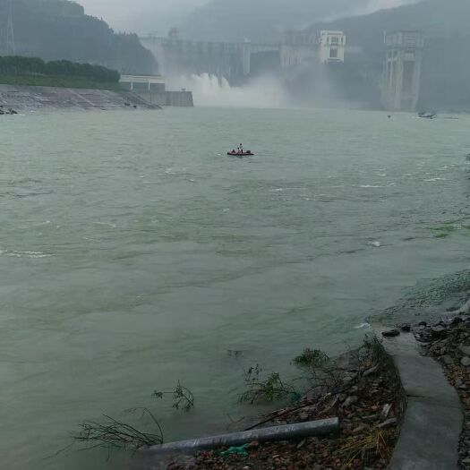 长阳县鲟鱼 皮毛一流