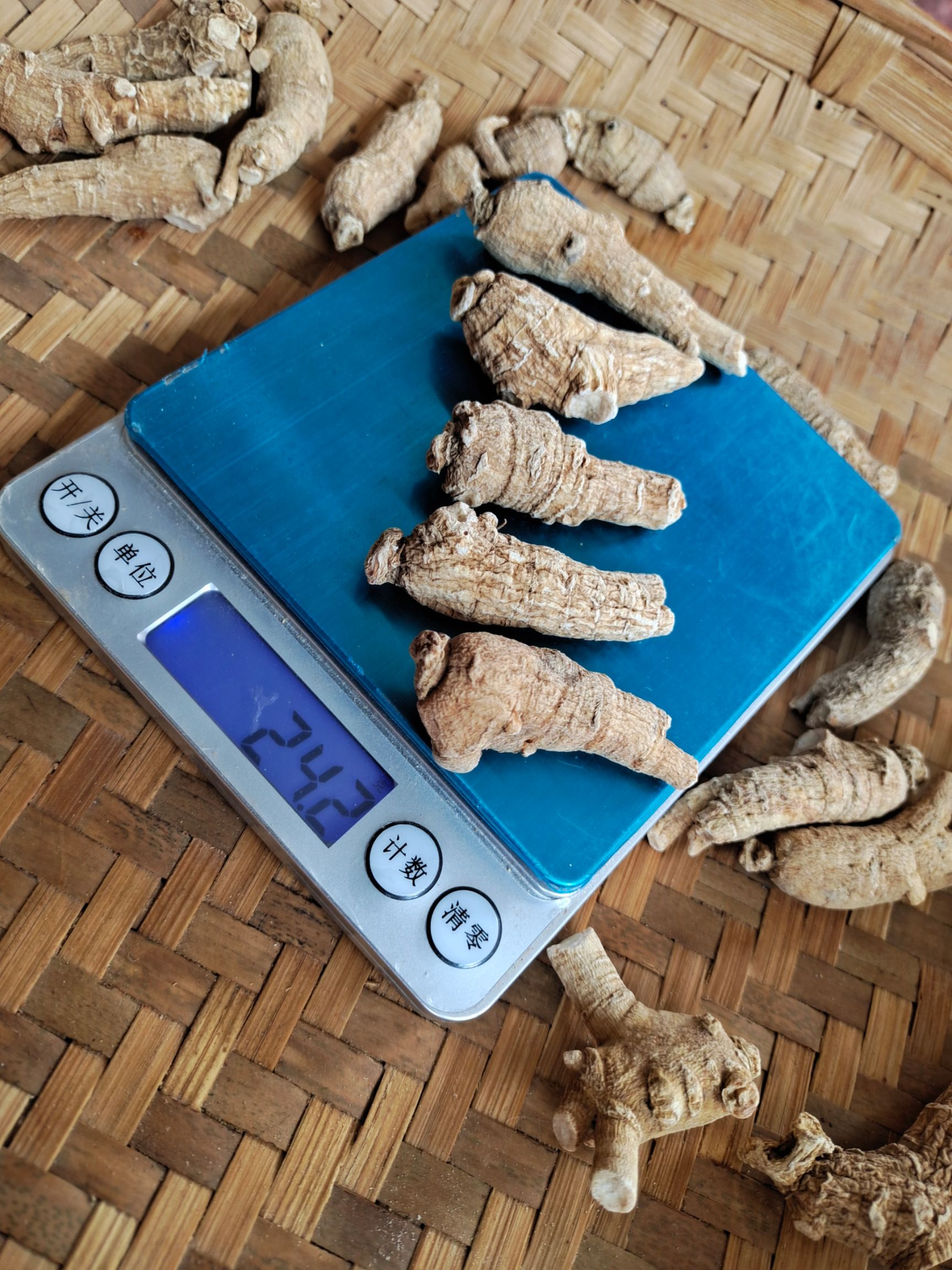 西洋参  长白山人参花旗参一只5克重/参味浓郁/500克装