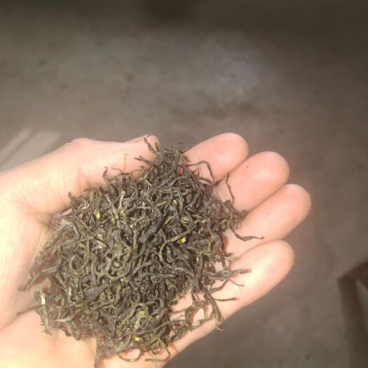 高县云雾茶 天然手工四川高山绿茶，汤色清亮，一芽一叶，一芽二叶都有，