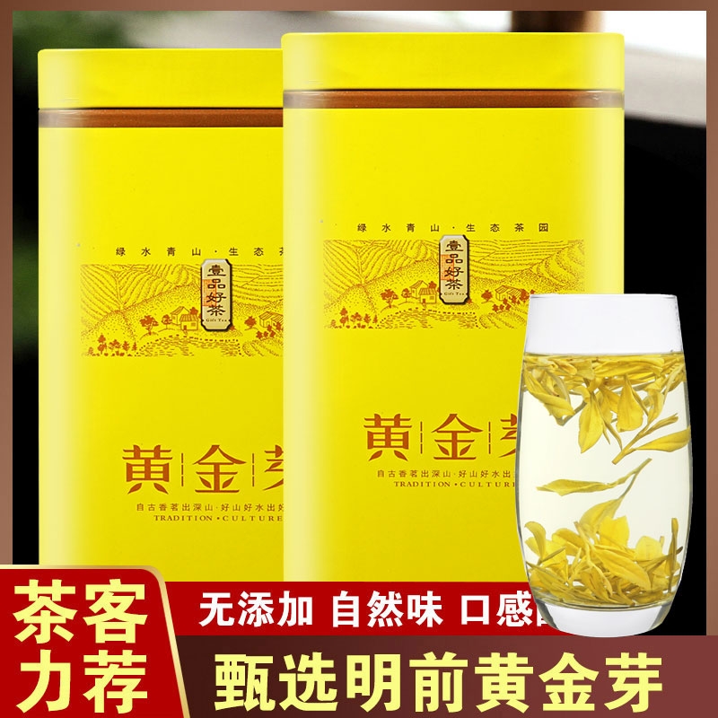 黄金茶  茶叶2024珍稀黄金芽正品黄金芽明前一级兰花香绿茶