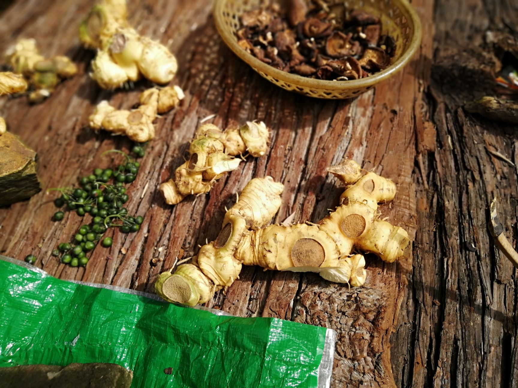 甜黄精 天然大山黄精个大多年生品质好量有限