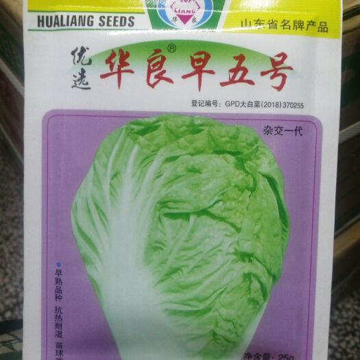 怀化白菜种子  华良早五号
