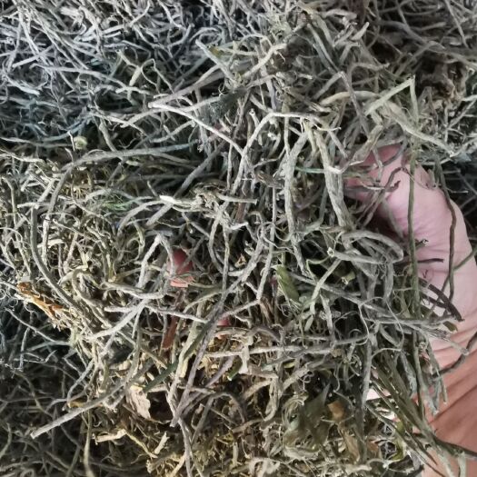 洪湖市苦草  干扁担草水韭菜种籽小龙虾螃蟹养殖水草耐高温包邮