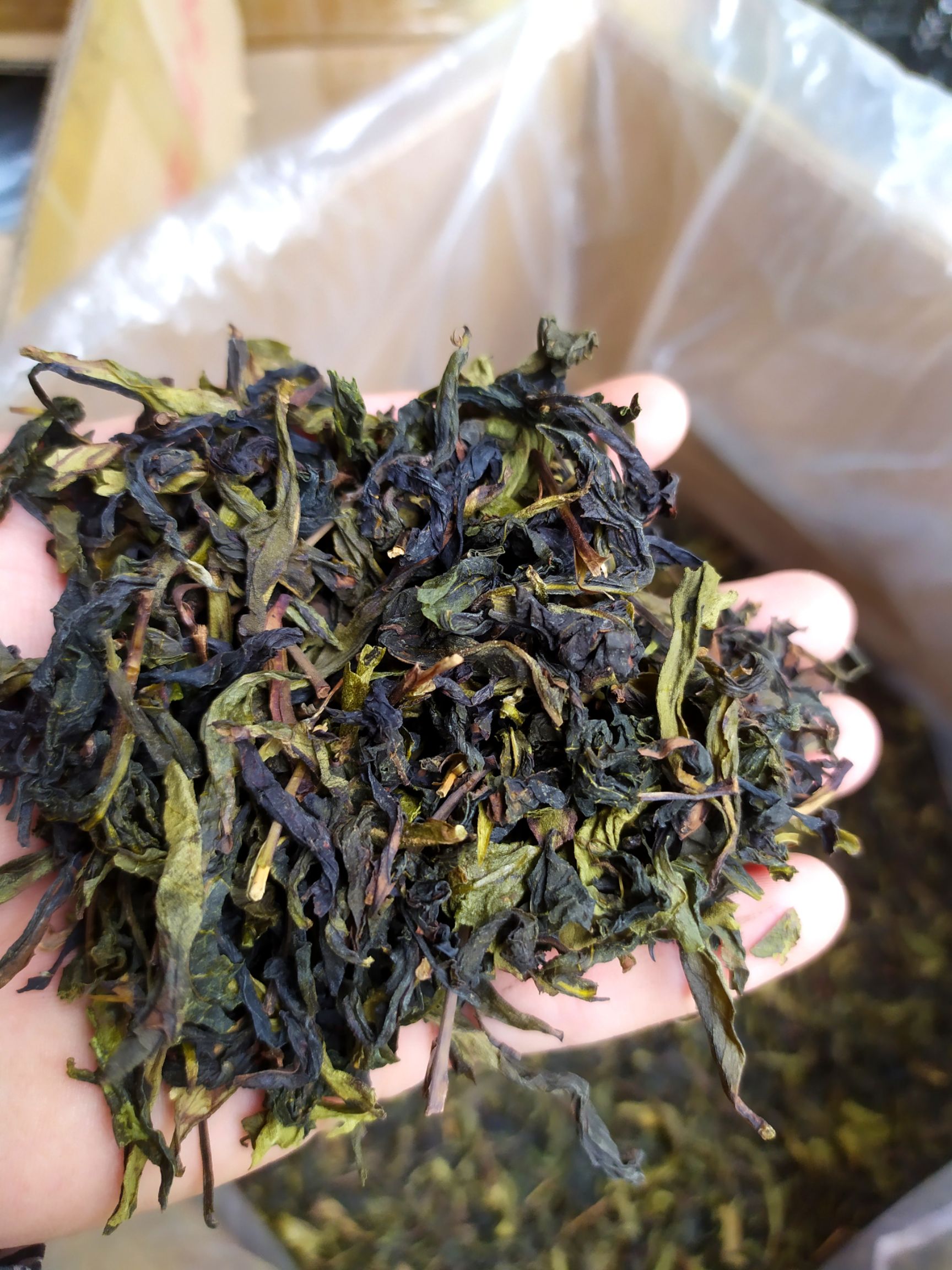 单丛茶 八仙茶惠来土山茶潮汕高山茶诏安八仙茶订洋八仙茶土山茶