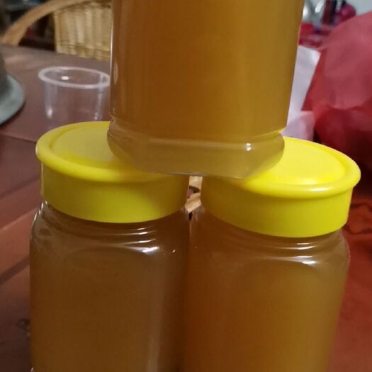 阳春市土蜂蜜  纯正太自然蜂蜜 冬蜂，让生活更健康