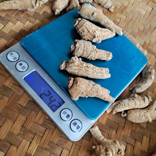 文山市西洋参  长白山人参花旗参一只5克重/参味浓郁/500克装