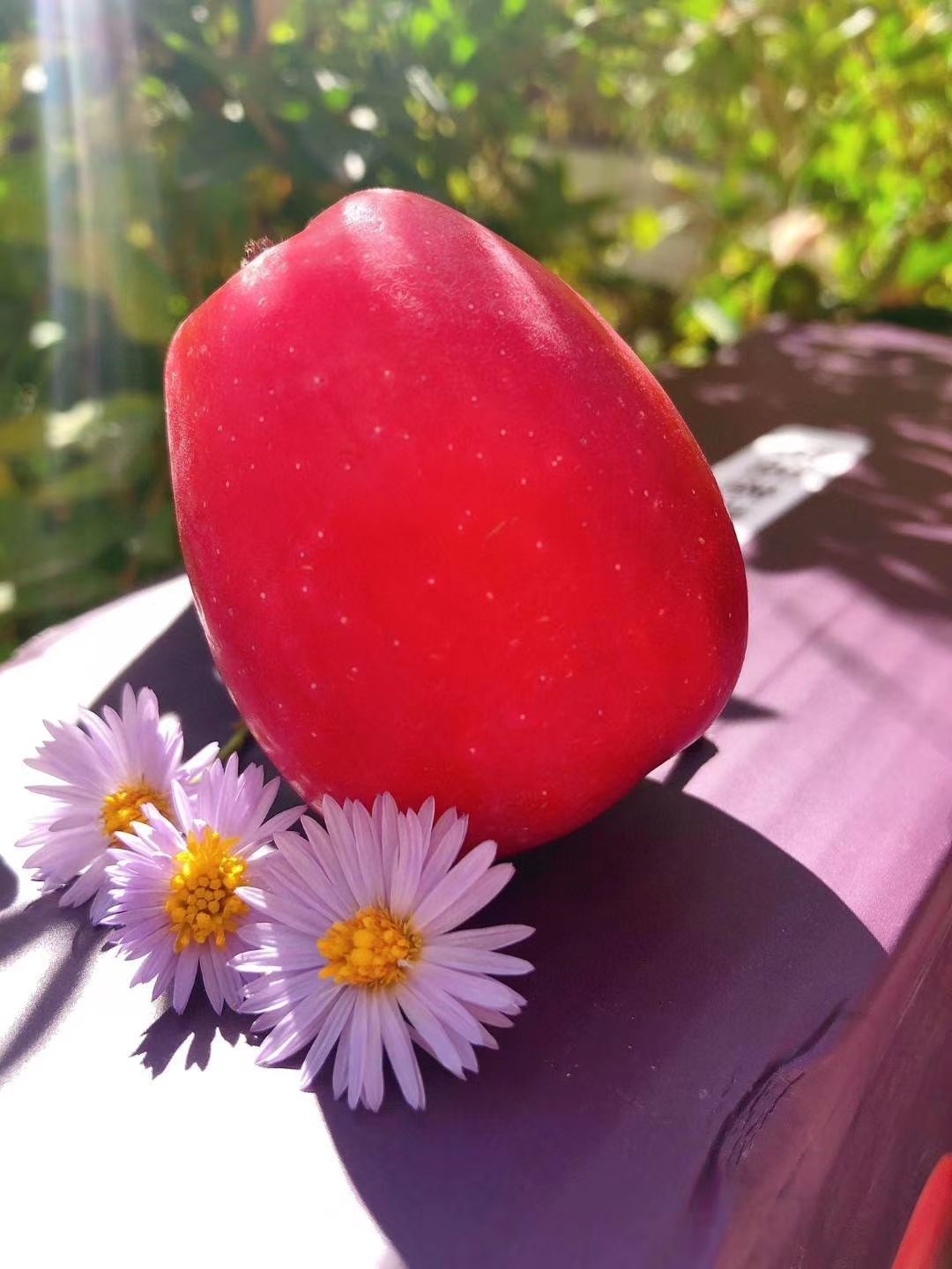 鸡心果苹果 疆凌果业产地直供《香妃海棠》