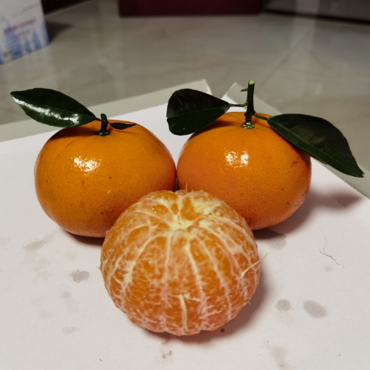 巴马县 世界长寿之乡巴马沃柑，茂谷柑，品质上乘，口感一流！
