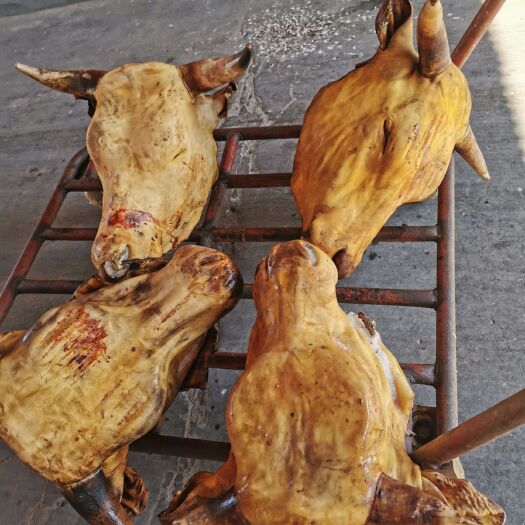 阳信县牛头宴必备牛头