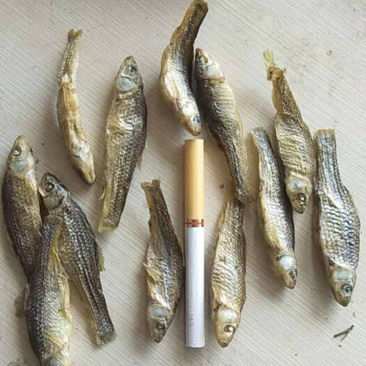 新沂市新货 麦穗鱼干 5-6厘米 十成干 无杂质 现货大量批发