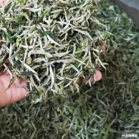 福安市白牡丹茶  【新茶】花香白牡丹2021
