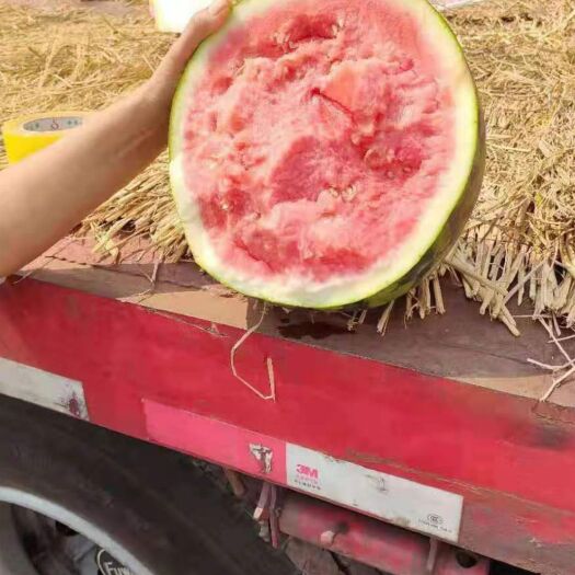 景洪市无籽西瓜 云南美都老挝甜王，甜度13大量上市大量供应中