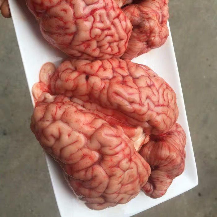新鲜牛脑黄牛脑花火锅红烧牛大脑左右两个脑一个一斤左右
