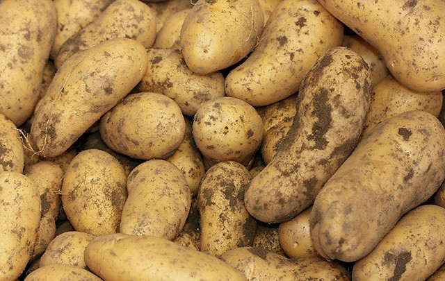 土豆 浙江省台州市仙居县 5两以上 