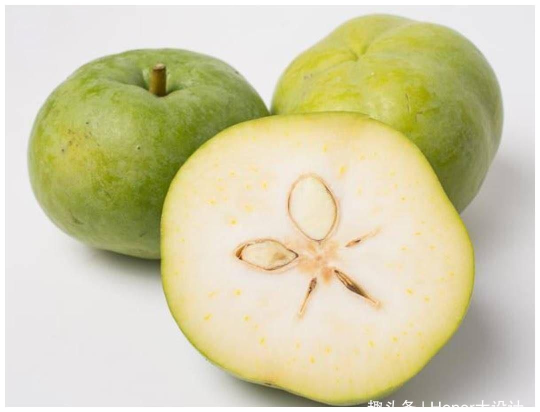 白柿苗 白柿冰淇淋果苗