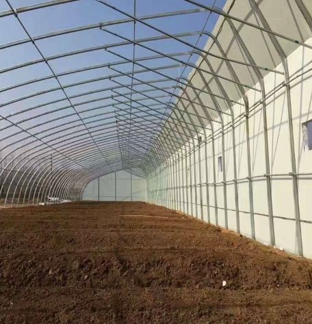 天津大棚  现代暖棚，适合各种种植日光温室