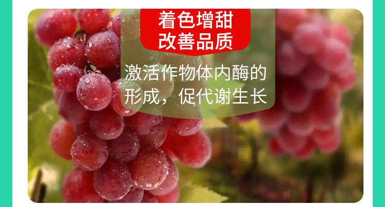 生物肥  果多旺冲施肥 膨果着色 长效持久 果靓果甜 活化土壤