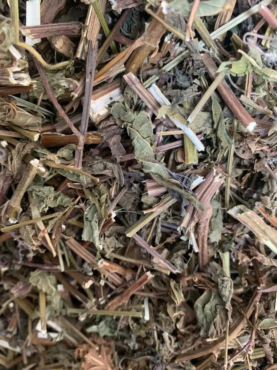 玉林大货供应｛溪黄草｝可批量可零售量大从优【包邮】