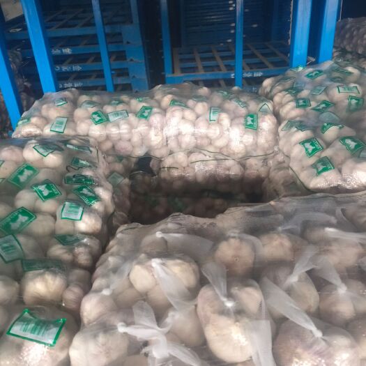 菏泽红皮蒜 山东省菏泽市定陶区 混级统货 老蒜 库内蒜 干蒜 