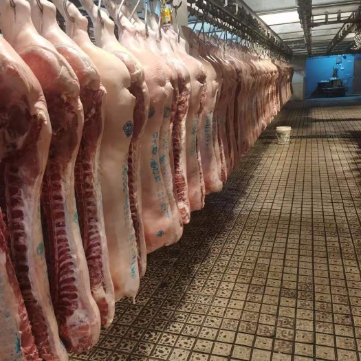 五花肉 生肉 