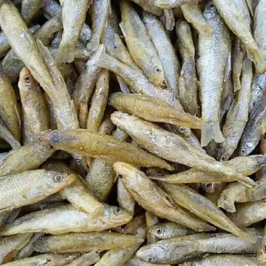 新沂市麦穗鱼干 油炸麦穗鱼 大中小规格齐全 具体请联系