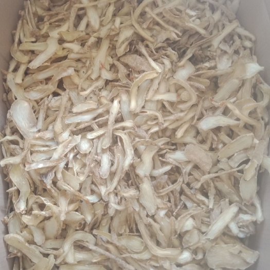 丹凤县黄天麻