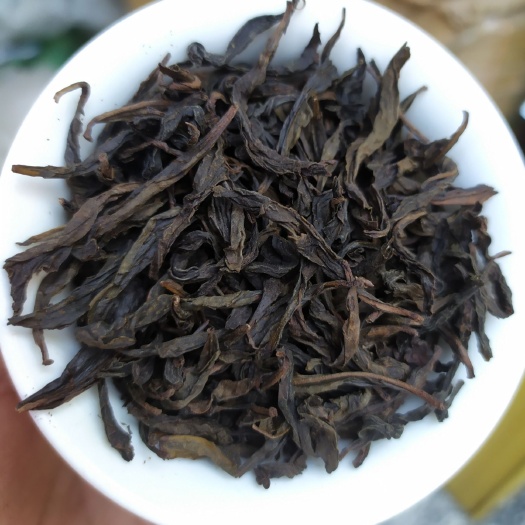 惠来县奇兰香茶炭焙奇兰茶叶惠来土山茶浓香型高山茶叶1斤潮汕土山茶