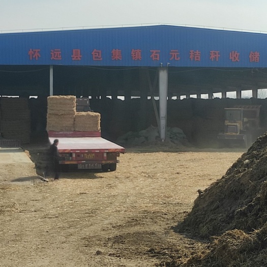 怀远县小麦秸秆 保证质量要求。