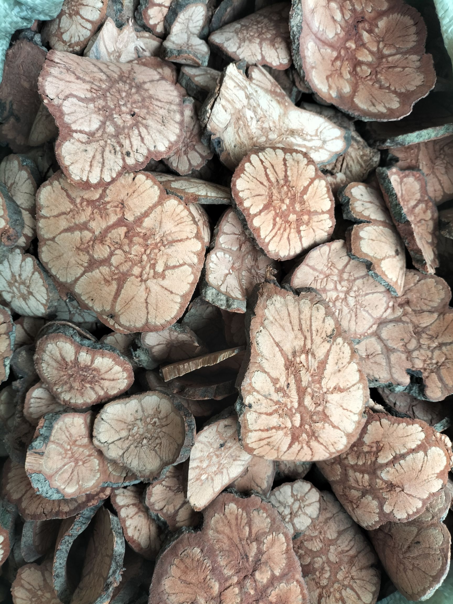 韶关产地原生九龙藤，长期大货供应，一手货源，价格美丽。