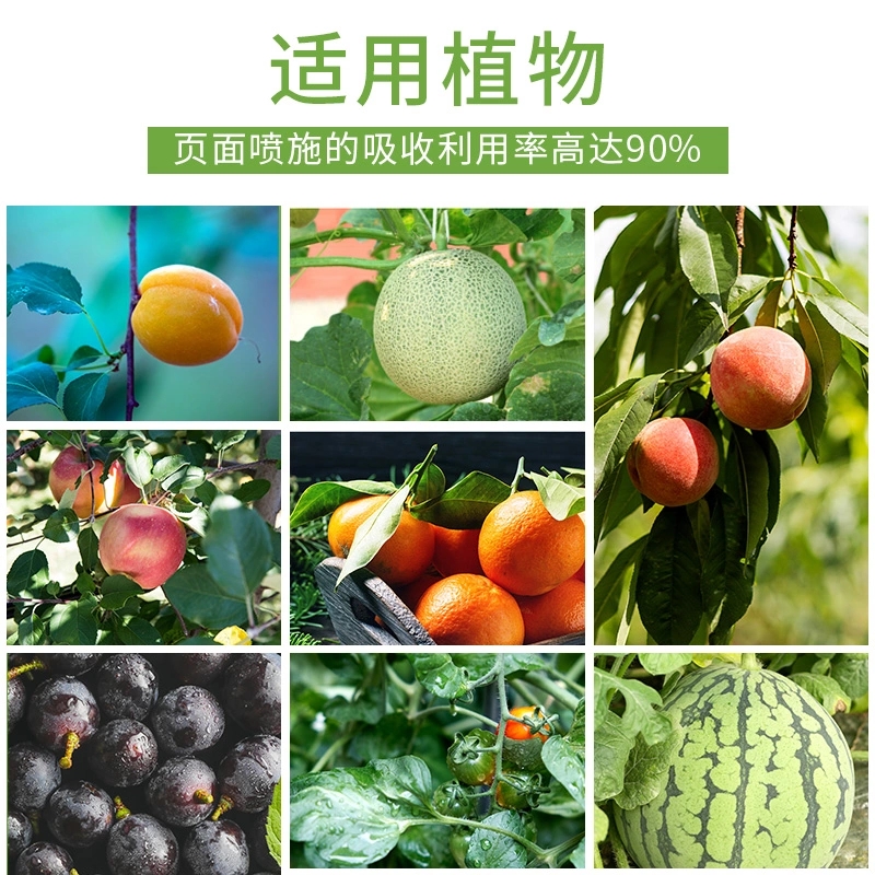 速溶硼  钙镁锌硼 双螯合工艺 预防缺素
