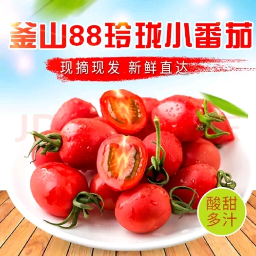 平度市釜山88圣女果  青岛平度圣女果釜山88品种，樱桃小番茄，口