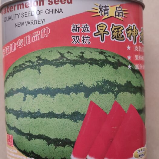 武威硒砂瓜西瓜种子 二倍体杂交种 ≥95% 