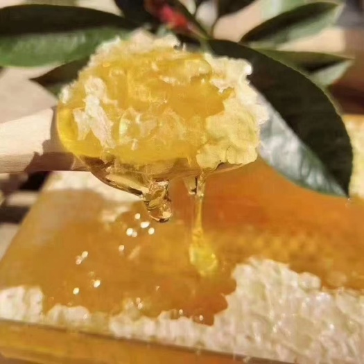成都蜂巢蜜  百花蜜 土蜂蜜 嚼着吃的蜂蜜 500克一盒