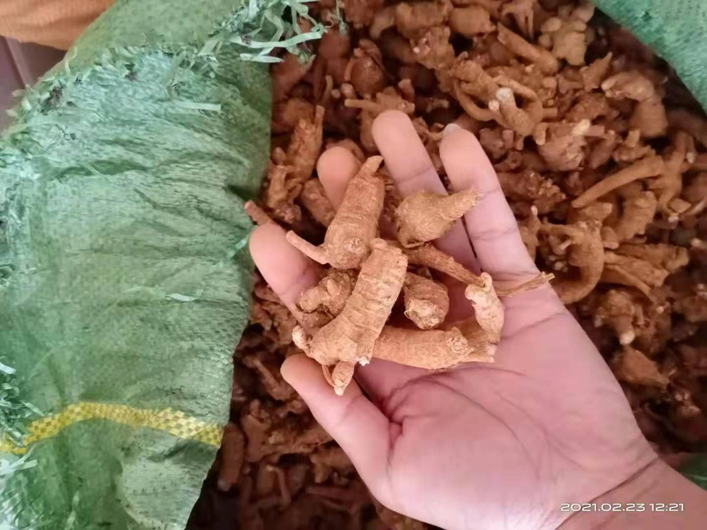 火麻七  云南文山三七，自家种植，自卖