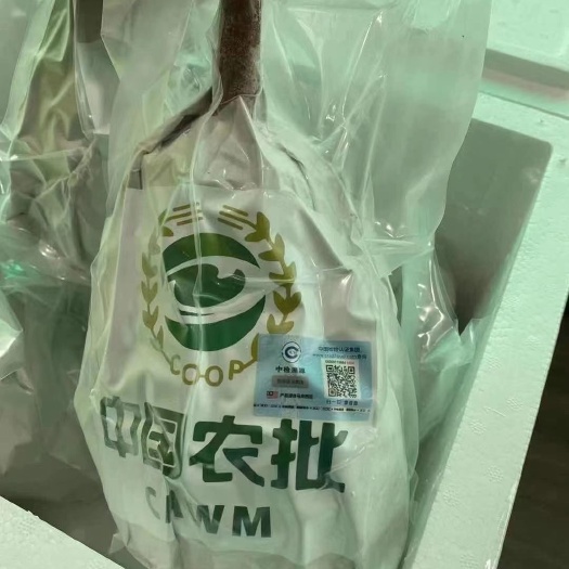 上海 马来西亚猫山王榴莲D197，一箱十公斤1400元，不包邮